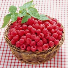 平湖红树莓